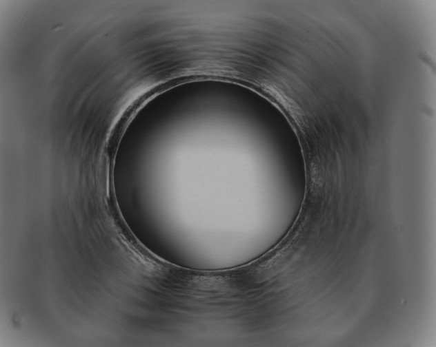 X0000091301123200708241045