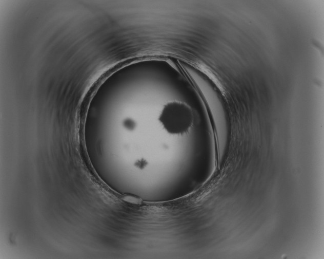 X0000091301124200708241045