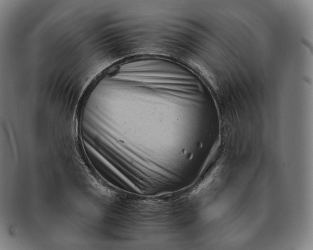 X0000091301125200708241045