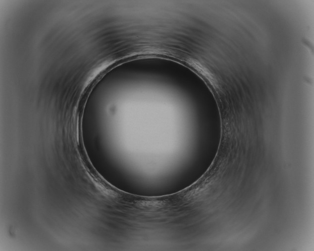 X0000091301127200708241045