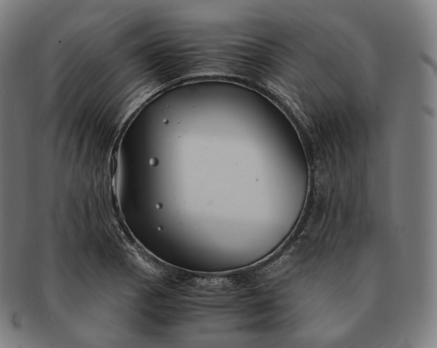 X0000091301129200708241045