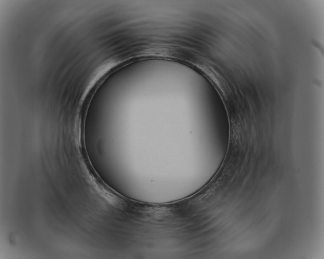 X0000091301131200708241045