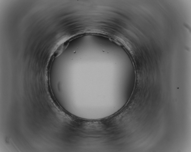 X0000091301133200708241045