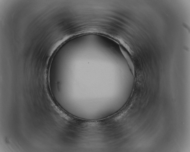 X0000091301134200708241045