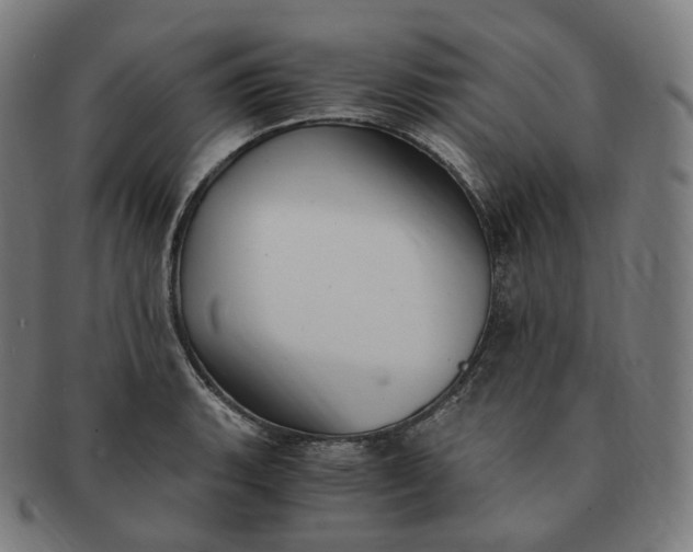 X0000091301135200708241045