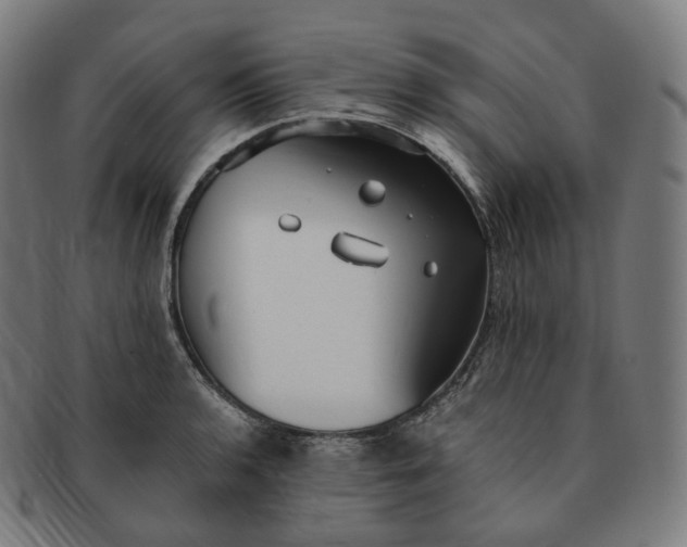 X0000091301136200708241045