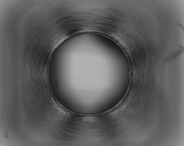 X0000091301137200708241045