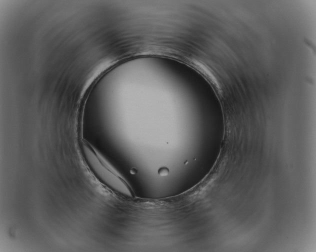 X0000091301138200708241045