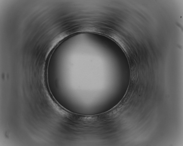 X0000091301139200708241045