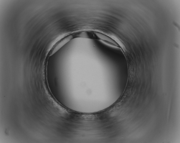 X0000091301142200708241045