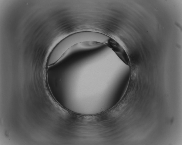 X0000091301144200708241045