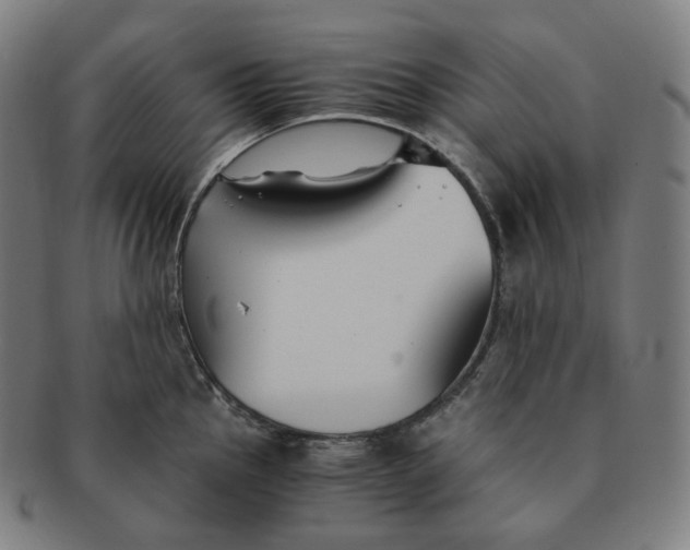 X0000091301145200708241045