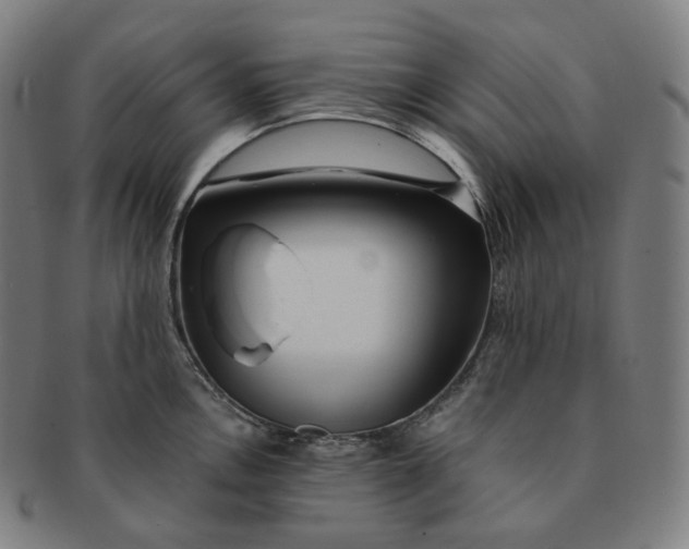 X0000091301146200708241045