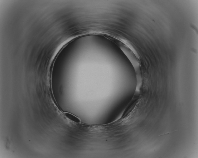 X0000091301148200708241045