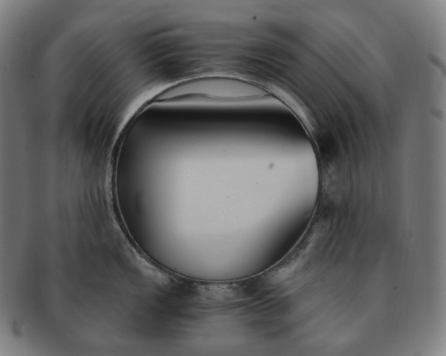 X0000091301149200708241045