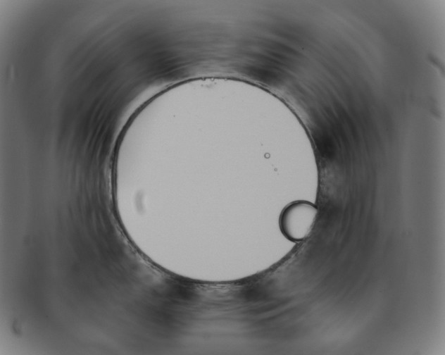 X0000091301150200708241045