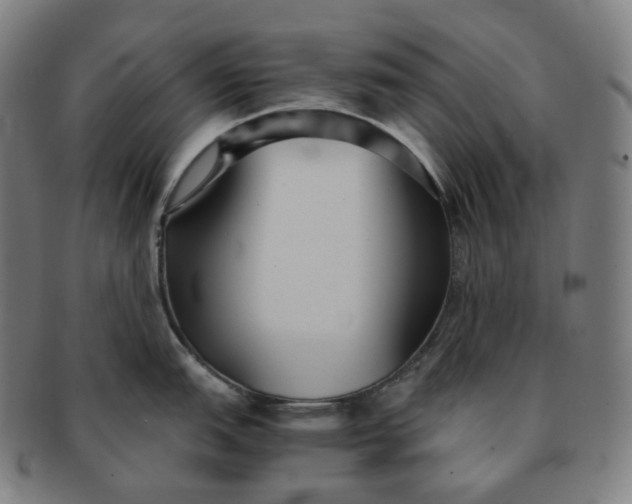 X0000091301151200708241045