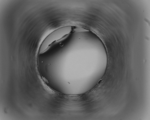 X0000091301152200708241045