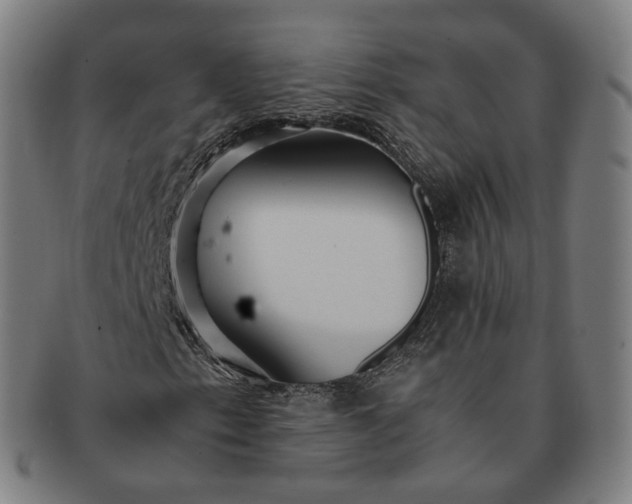 X0000091301153200708241044