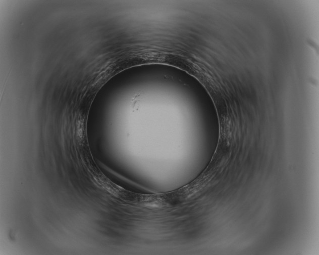 X0000091301154200708241044