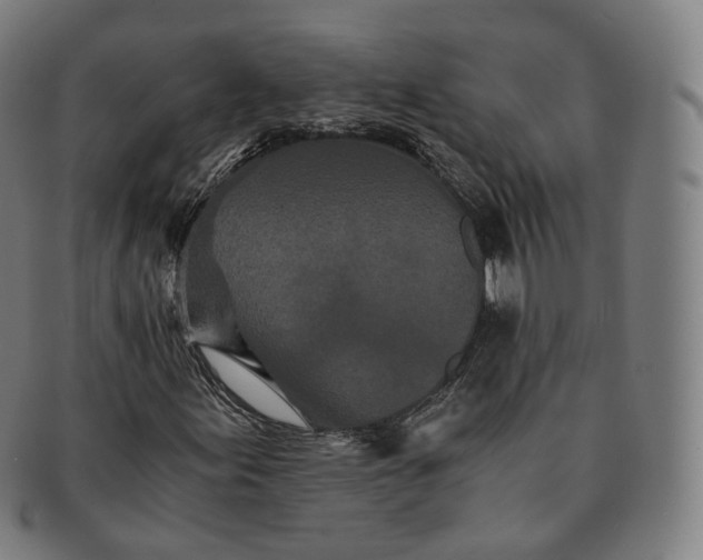 X0000091301155200708241044