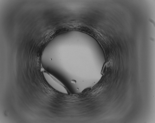 X0000091301156200708241044