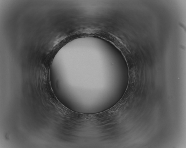 X0000091301158200708241044