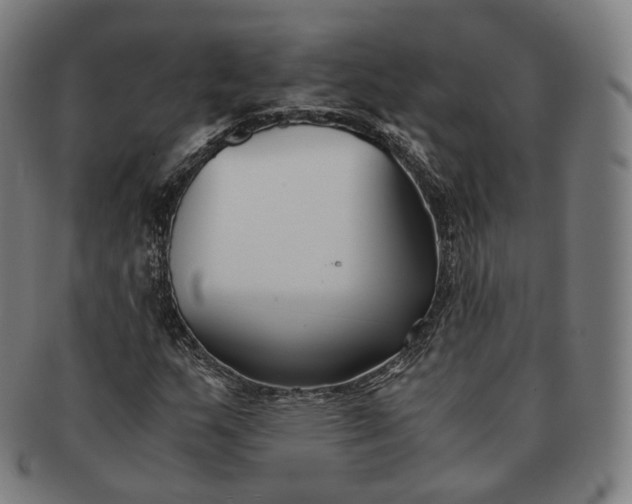 X0000091301159200708241044