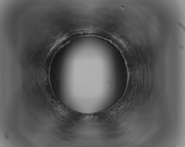 X0000091301160200708241044