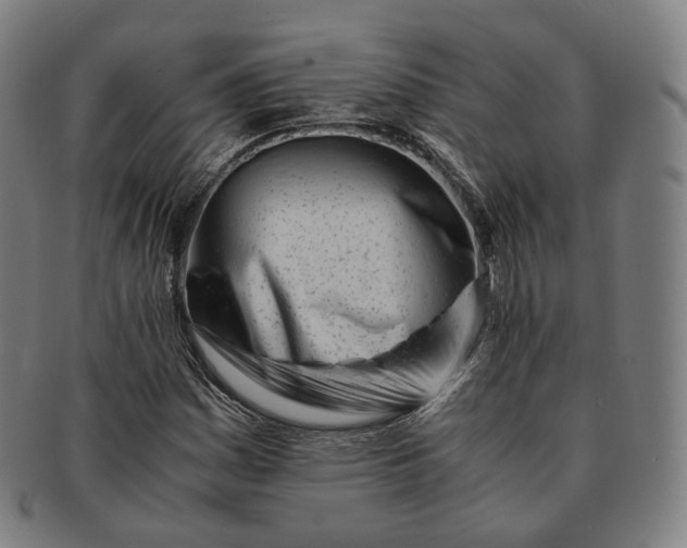 X0000091301161200708241044