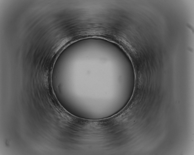 X0000091301162200708241044