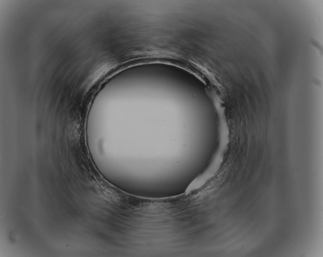 X0000091301163200708241044