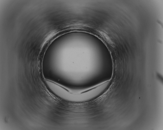 X0000091301164200708241044