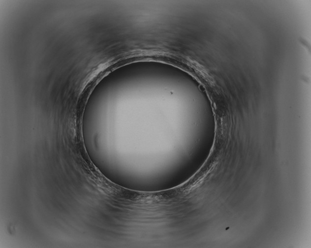 X0000091301165200708241044