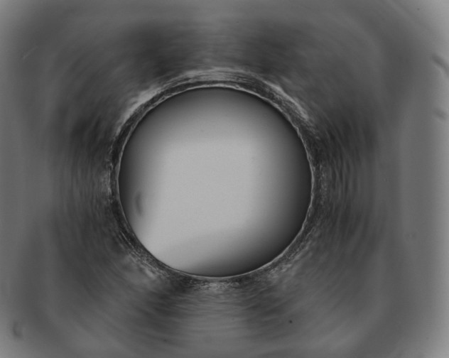 X0000091301166200708241044