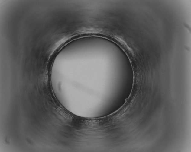 X0000091301167200708241044