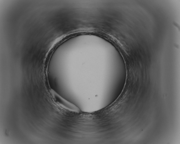 X0000091301168200708241044