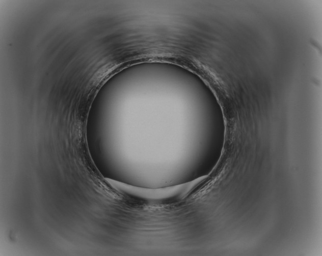 X0000091301169200708241044