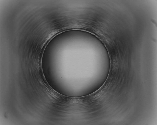 X0000091301170200708241044