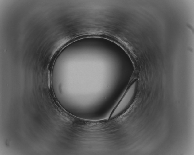 X0000091301171200708241044