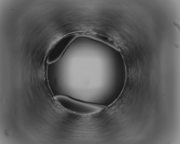 X0000091301172200708241044