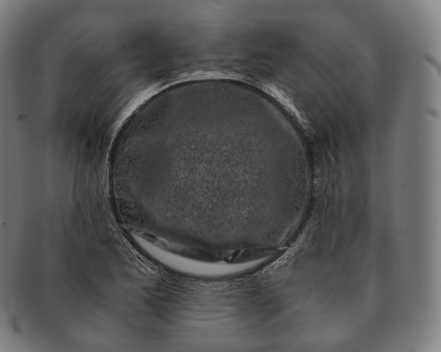 X0000091301173200708241044