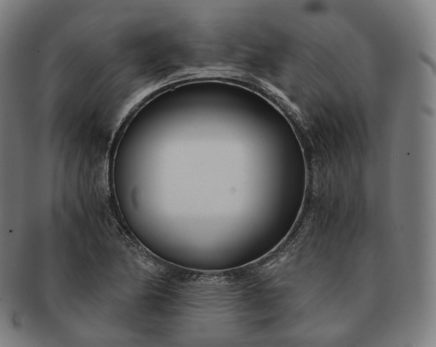 X0000091301174200708241044