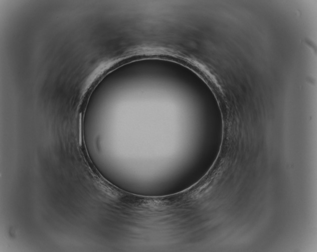 X0000091301175200708241044