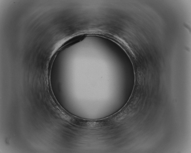 X0000091301176200708241044