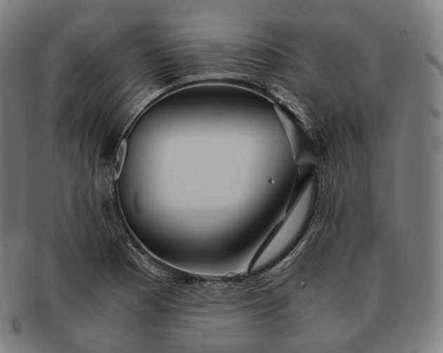 X0000091301177200708241044