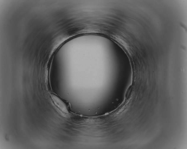 X0000091301179200708241044