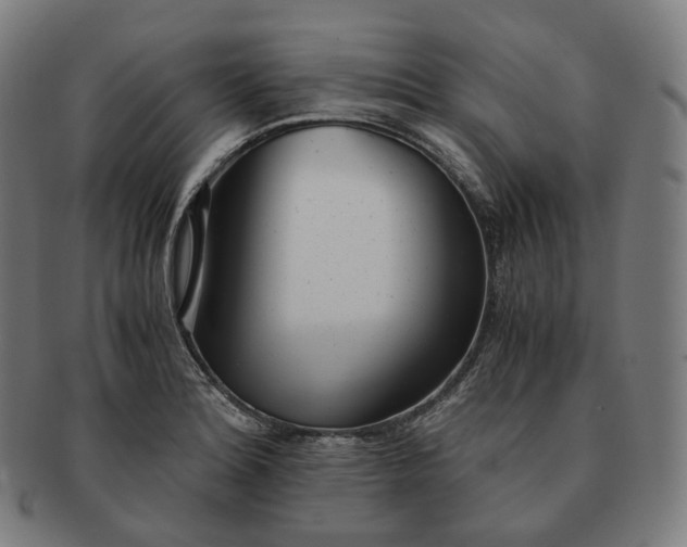 X0000091301180200708241044