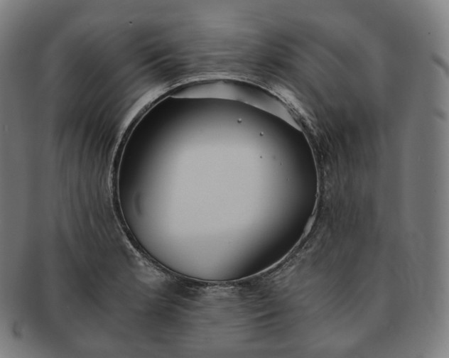 X0000091301181200708241044