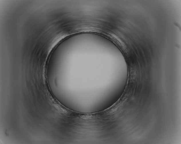 X0000091301182200708241044